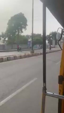 From the perspective of someone riding in a yellow auto rickshaw, a paved road is visible with other vehicles, including motorcycles and cars, traveling along it. The road is lined with a curb, and beyond that are buildings and trees, including palm trees. The sky appears bright and somewhat hazy.