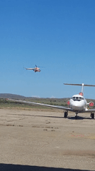 Planes, insects, and a Russian poetry post in one morning