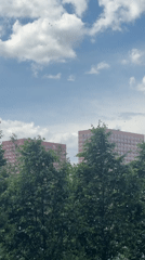 Daytime video captures buildings with red roofs, green trees