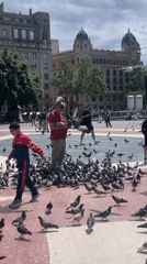 Tourists feed pigeon flocks in Barcelona plaza