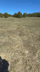 Family dirt bike outing in Russian woods encounters muddy terrain