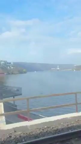 The video, filmed from a moving train, captures an expansive body of water framed by verdant hills and a blue sky dotted with clouds. The train's window frame and guard rail are visible in the foreground, adding perspective to the view. As the train progresses, the landscape shifts to reveal more of the shoreline, featuring houses and structures nestled among trees. The camera continues to traverse the scene, showing a variety of trees, some green and lush, others bare, and a medley of wild vegetation. The presence of electricity poles passing by further indicates the train's forward motion, enhancing the portrayal of the environment in motion.