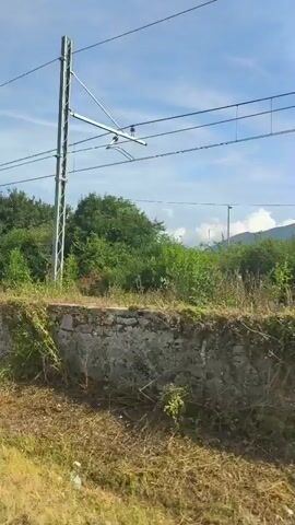 This is a shaky, first-person perspective video taken from a moving train. The camera is angled slightly downwards, showing the side of the train tracks, a low stone wall, and lush green vegetation. In the distance, there are trees and a clear blue sky with some wispy clouds. There are also power lines running overhead. The train passes an abandoned, pinkish-colored house with broken windows and overgrown plants. There is a red and white marker post visible on the right side of the frame. The overall scene suggests a rural or semi-rural environment.
