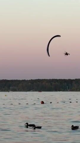 A paramotor is seen flying over a body of water. The paramotor consists of a paraglider wing and a motor backpack. The pilot is seated in a harness beneath the motor. The paramotor is flying at a moderate altitude and appears to be moving from left to right in the frame. The water is calm and there are several buoys visible in the water. In the foreground, there are several ducks swimming. In the background, there is a treeline and some construction cranes. The sky is clear and the lighting suggests it is either sunrise or sunset.