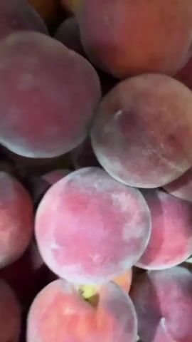 The video shows a close-up, overhead shot of a wicker basket filled with ripe peaches. The peaches are a vibrant mix of reds, oranges, and yellows, with some showing a fuzzy, dusty coating. They are densely packed in the basket, creating a textured visual. The lighting appears to be natural, possibly suggesting daylight. The setting is a close-up view of fruit, likely a market or a harvest, with the woven texture of the basket being the most prominent background element. There are no people or animals visible, and no text is present in the video. The focus is entirely on the abundance and visual appeal of the peaches.