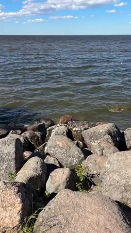 The video shows a scenic view of a body of water with a rocky shore and trees in the background. The water is dark and slightly choppy, reflecting the blue sky and scattered white clouds. Large, weathered rocks of various sizes line the shore, with some patches of green grass and vegetation growing between them. In the distance, a tree-lined shoreline is visible with people walking along a path. The video pans to show a couple walking away from the camera on a dirt path next to the grassy shore. They are seen from behind, with the female wearing a denim jacket and a patterned skirt, and the male wearing a hooded sweatshirt and shorts. They are walking arm in arm, casting long shadows on the path. More people can be seen in the distance, also walking along the path or near the water. The overall atmosphere is peaceful and suggests a sunny day at the water's edge.
