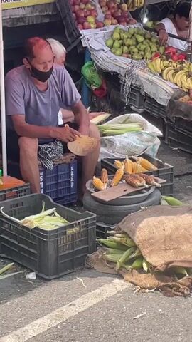 A man wearing a grey t-shirt, black face mask, and black shorts sits on a blue crate at a fruit stand. He holds a round, flat object in his right hand. To his right, several ears of corn are displayed on a stack of tires, some of which appear to be roasted. Another crate filled with corn is in front of him. To his left, a crate filled with corn husks sits on the ground. A burlap sack overflowing with corn is on the ground to the right. Various fruits, including apples, pears, and bananas, are visible in the background.