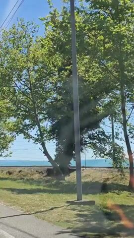 The video captures a scenic drive along a coastal road on a clear, sunny day in Primorskoe, Abkhazia. The camera is positioned inside a moving vehicle, offering a view of the road ahead and the surrounding landscape. To the right of the road, lush green trees line the path, with a body of water, likely the sea, visible beyond them. In the foreground on the right, railway tracks run parallel to the road and the coastline. Utility poles with overhead lines are scattered along the road. At one point, a white car is seen driving ahead on the two-lane asphalt road. The sky is bright blue with a visible sunstreak.
