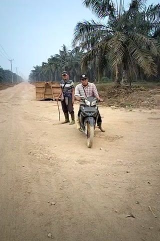 Two men are in a dirt road lined with palm trees. One man is riding a motorcycle and the other is walking with a stick. There is a wooden structure in the background. The sky is overcast.