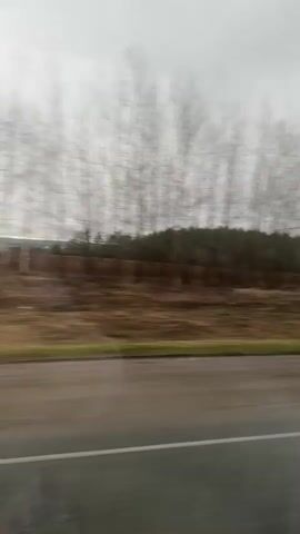 The video shows a view from inside a moving vehicle, likely a car or bus, looking out the side window. The landscape consists of a gray, overcast sky, a flat, field-like area, a dark green tree line in the background, and a road in the foreground. The road has a gray surface and a white dividing line. A thin strip of green vegetation runs along the edge of the road. The scenery is passing by quickly, indicating the vehicle is in motion. The general atmosphere appears to be gloomy or somber due to the weather conditions.