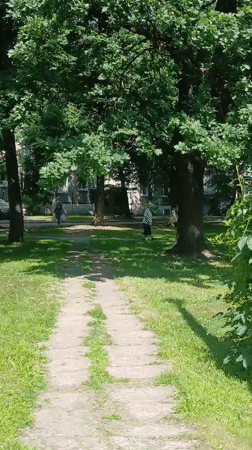 Sunny morning stroll through a tree-lined public space in Riga