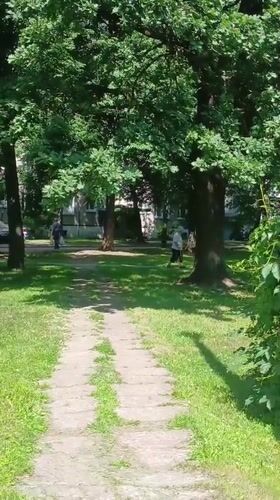 Sunny morning stroll through a tree-lined public space in Riga