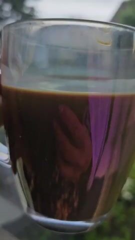 The video begins with a close-up of a clear glass mug filled with a dark liquid, possibly coffee, with steam rising. A purple reflection is visible on the surface of the liquid. The camera then pans out to reveal a slightly out-of-focus view of a residential street. There are houses, trees, and cars visible. The weather appears to be overcast. The camera continues to pan, showing more of the street and a garden area in the foreground. The overall impression is of a relaxed morning scene viewed from indoors.