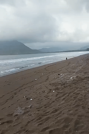 Tasikmadu, Indonesia