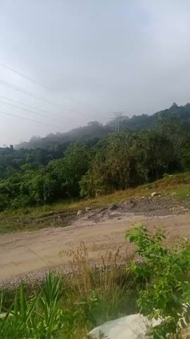 The video shows a landscape with rolling hills covered in lush green trees. A large electrical tower with wires stretches across the sky. The sky is hazy and overcast, with the sun faintly visible through the clouds. The foreground shows a dirt road and some vegetation. The video pans slightly, revealing more of the hilly terrain and the electrical infrastructure. The scene appears to be an outdoor natural environment with man-made elements.