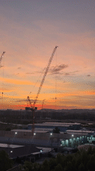 Sunset illuminates construction cranes across Pattaya City skyline
