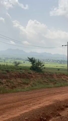 The video shows a rural landscape. In the foreground, a dirt road curves through a reddish-brown terrain with patches of green grass and some sparse vegetation. A steep embankment rises to the left, topped with more grass and a small tree. In the middle ground, a utility pole with wires stretches across the frame. Beyond the pole, a vast, flat green field unfolds, dotted with trees and small buildings, suggesting a village or scattered settlements. In the distance, a range of hazy, mountainous terrain forms the horizon. The sky is partly cloudy, with large white clouds against a bright sky. The overall impression is of a serene, undeveloped rural area under a bright, possibly humid, climate.
