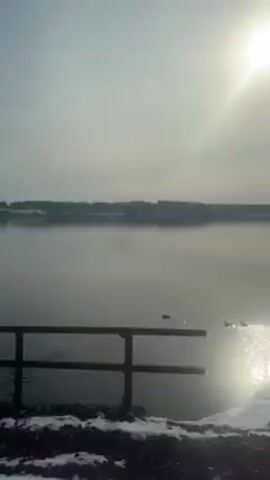The video shows a winter scene by a body of water, likely a lake or river. A dark, coniferous tree stands in the foreground, silhouetted against the bright sun. The ground is covered in snow. The water is calm, with a shimmering reflection of the sun on its surface. In the distance, a hazy shoreline can be seen. The camera pans slowly to the right, revealing more of the water and the snowy bank. The overall mood is serene and cold.