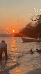 Person and dogs enjoy sunset swim at El Nido beach