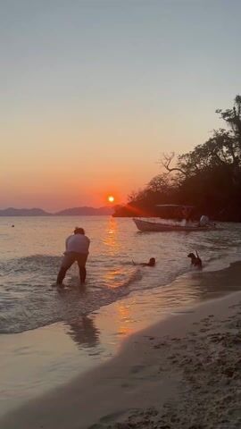 A person stands waist-deep in shallow water at a beach at sunset. Two small dogs are also in the water, swimming near the person. A small boat is anchored just offshore. The sun is setting over water in the distance, with mountains visible on the horizon. Trees line the beach to the right.