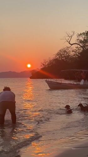 Person and dogs enjoy sunset swim at El Nido beach