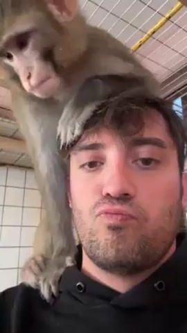 A man with dark hair and a short beard is taking a selfie. He is wearing a black hooded sweatshirt.  A small monkey is sitting on his head. They are both looking at the camera. The man has a slight pout on his face. They are indoors, seemingly inside of a cage made of a metal wire mesh. Through the mesh, one can see a wall and what appears to be a picture. There is music playing in the background.  The man makes a peace sign at one point.