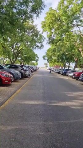 The video shows a stationary camera looking down a long, paved road lined with parked cars on both sides. Lush green trees with full foliage overhang the road, casting shadows on the asphalt. The road curves slightly to the left and appears to lead towards a distant horizon where the sky meets the land, possibly indicating a beach or open area. Several cars are visible parked along the road. In the distance, two figures can be seen walking away from the camera down the road. The sky above is partly cloudy with patches of blue. The overall impression is a sunny day in a shaded parking area next to a natural landscape.
