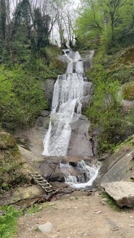 The video displays a picturesque waterfall cascading down a rocky, multi-tiered incline in a lush green forested area. The water flows powerfully over several rock formations, collecting in pools before continuing its descent. The slopes on either side of the waterfall are densely covered with vibrant green foliage and trees, some with exposed roots and branches. The sky appears overcast, suggesting a cloudy day, and the lighting is diffused. In the foreground, at the base of the waterfall, a rustic wooden ladder-like structure lies on the rocks, possibly a makeshift bridge or access point. The ground in the immediate foreground is a mix of dirt and gravel, leading towards the water. The overall scene depicts a serene and natural landscape. The location is Zeda Chkhutuneti, Georgia. No people or visible text are present.
