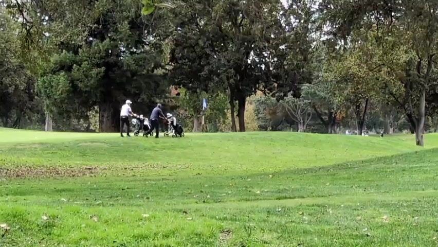 Two people walk up a slight hill on a golf course, pulling golf carts. There is a blue flag to the right of them. The course is green with some fallen leaves. There are trees around the edges of the scene. In the distance, there is a golf cart driving away.