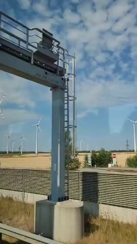 A wide shot, possibly taken from a vehicle, shows a field of wind turbines under a partially cloudy blue sky. The turbines are white with red accents on their blades and are spread across a golden-colored field. In the foreground, there is a wooden fence and dry, grassy vegetation. A sign with a red circle and a diagonal line is visible on the left side of the fence. Several trees, some with green foliage, are scattered throughout the scene. The overall impression is of a rural landscape dominated by renewable energy infrastructure.