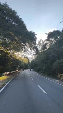 The video captures a scene from a vehicle traveling along a paved road lined with trees. The road is gray with white lane markings. The sun is shining brightly through the trees, casting rays of light onto the road. Several motorcycles with riders are visible ahead on the road, traveling in the same direction. The environment appears to be a natural, possibly mountainous or hilly, area with dense foliage. The sky is a clear blue with the sun being the primary light source.