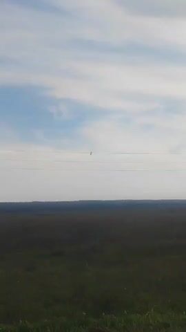 This is a vertical, handheld video of a wide, open field under a cloudy sky. The field appears to be covered in grass or low vegetation. In the middle ground, there is a dark line of trees or dense foliage along the horizon. In the sky, there are thin, wispy clouds against a blue background. Three parallel power lines stretch horizontally across the frame in the upper half. A single bird is perched on the middle power line, slightly to the left of the center. The video is static, with no discernible movement other than slight camera shake.