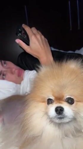 Couple shares bedtime moments with Pomeranian in Warsaw bedroom