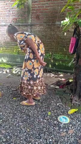 An elderly woman with gray hair pulled into a bun stands in a gravel yard. She wears a floral dress and yellow sandals. She appears to be looking at the ground, bending over with her arms extended for balance. Behind her is a brick wall, a tree trunk with a pink and black bag hanging from it, and a swing set. The yard is covered in gray gravel, and several yellow objects, possibly fruit, are scattered around the ground.
