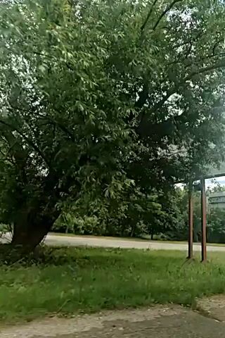 A video shows a large, empty billboard angled away from the camera, standing on two metal posts in a grassy area with trees in the background. The sky above is filled with large, white clouds against a blue background. The video pans slightly to the right, showing more trees and a glimpse of a building in the distance.