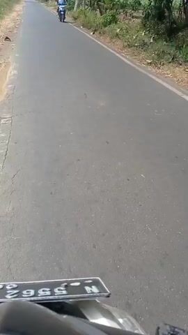 A person is riding a motorcycle down a paved road. Another person on a blue motorcycle is riding towards the camera. The environment is rural with trees and vegetation on the side of the road. The weather appears to be sunny.