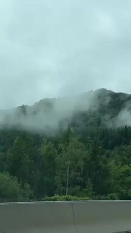 A video shows a view from a moving vehicle. The camera is pointed towards a dense forest covering rolling hills. The sky is overcast with clouds, and patches of mist or fog are visible among the trees on the hills. A concrete barrier runs across the bottom of the frame. A white van with some text and graphics on its side drives by in the middle distance. The video is short and appears to be a snapshot of a scenic drive.
