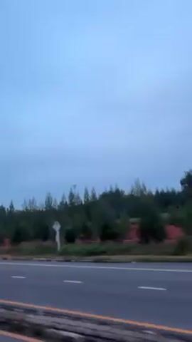 The video depicts a view from a moving vehicle on a highway, showcasing the roadside scenery. The sky is overcast with a light blue hue, suggesting early morning or late evening. Adjacent to the highway is a strip of greenery consisting of trees and vegetation, with a reddish-brown embankment visible. A street light is seen passing by. A vehicle is visible in the distance on the highway. The road is marked with lane dividers.