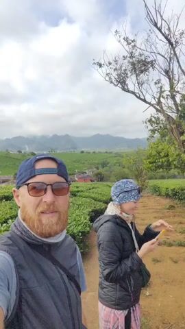 Two people are in a field of low shrubs, possibly tea plants, with mountains in the distance under a cloudy sky. The person in the foreground is a man with a red beard wearing sunglasses, a blue baseball cap, and a vest. He is smiling and taking a selfie. In the background to the right, a woman wearing a blue patterned head covering, a black jacket, and a patterned skirt is looking at a tablet and then gives a thumbs up. They are standing on a dirt path. A tree with bare branches is visible on the right.