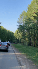 Flag-decorated car convoy travels through tree-lined Russian village