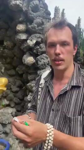 A man with dark hair is shown from the chest up in front of an outdoor shrine. He is wearing a striped button-up shirt and bracelets on his right wrist. He is holding what appears to be folded paper in his hands and is opening it. Behind him is a stone grotto-like structure with a gold Buddha statue. A blue pot with a small plant is in front of the grotto. The sky is overcast.