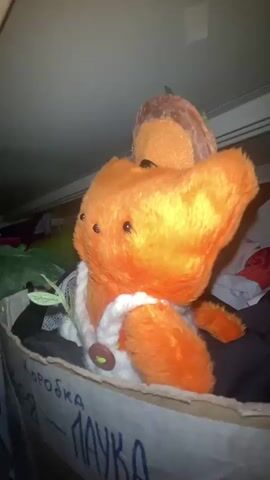 A stuffed orange duck toy wearing a white and beige vest with a brown button sits in a cardboard box. The toy is positioned in the center of the box and faces to the left. The box is decorated with drawings of potted plants and a spider. The box is placed on a shelf among other objects. The lighting is dim and the camera is slightly tilted. The video appears to be shot indoors, possibly in a storage area.