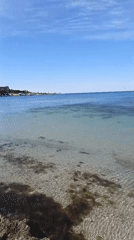 Man Takes Selfie at Sevastopol Beach Under Clear Skies
