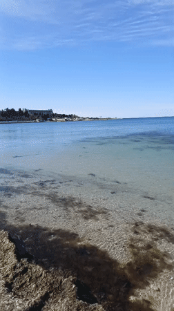 Man Takes Selfie at Sevastopol Beach Under Clear Skies