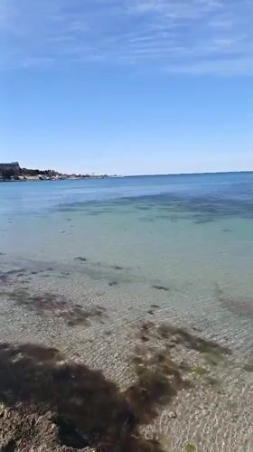 Man Takes Selfie at Sevastopol Beach Under Clear Skies
