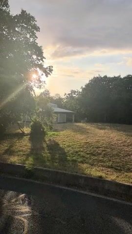 The video captures a street-level view of a grassy slope leading up to a cluster of trees and a small structure. The sun is low in the sky, casting long shadows and creating a warm, diffused light through the clouds. A paved road with a concrete curb runs along the bottom of the frame. The grass on the slope is dry and patchy in some areas. A small, open-sided structure, possibly a gazebo or a bus stop shelter, is visible amidst the trees. The overall scene suggests a quiet, possibly rural or suburban environment during either sunrise or sunset. There are no people or vehicles visible in the video.