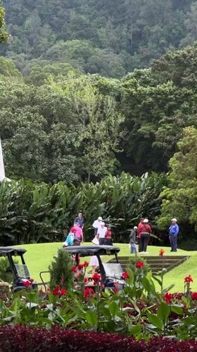 Early morning golf game observed in Sukasada, Indonesia