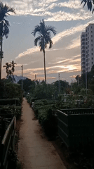 Woman visits cemetery and gardens in Dhaka during afternoon