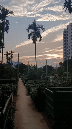 Woman visits cemetery and gardens in Dhaka during afternoon