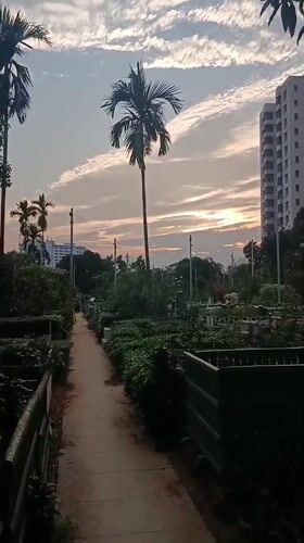 Woman visits cemetery and gardens in Dhaka during afternoon